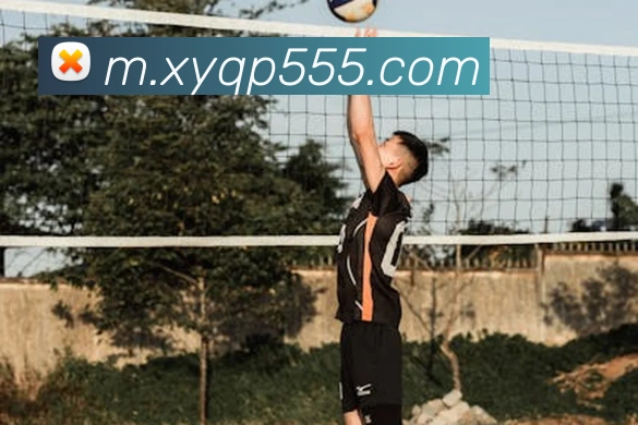 8868APP 封面图
